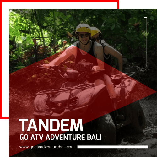 tandem-go-atv-2-min tandem-go-atv-2-min